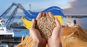 Тарас Висоцький: Україна залишається серед лідерів експортерів зернових та олійних