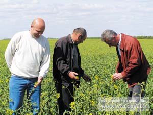 Українське фермерство: особливості, проблеми, перспективи