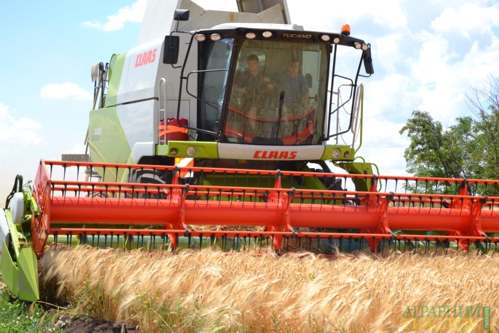 Кіровоградські аграрії намолотили 119,4 тис. тонн ранніх зернових та ріпаку