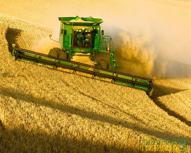 На Дніпропетровщині зібрали 2,6 млн тонн зерна