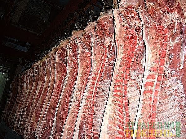Недоекспорт свинини через АЧС: мінус 5 млн дол. щороку