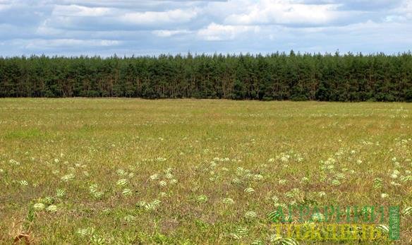 12 млн доларів на оптимізацію негативних впливів на лісостепову зону України