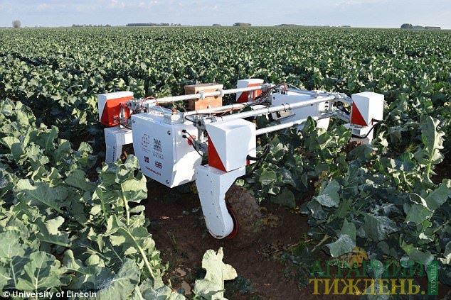 Собран первый в мире урожай на роботоферме
