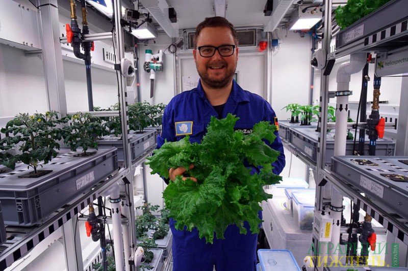 В Антарктиді зібрали врожай овочів для космонавтів