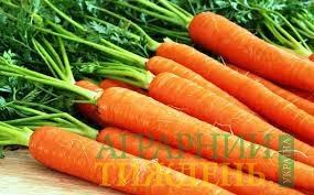 Виробники суттєво підвищили ціни на моркву