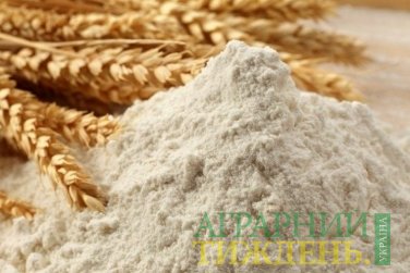 ДПЗКУ демонструє позитивну динаміку експорту зернових