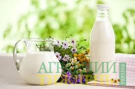 Українське молоко для французьких компаній