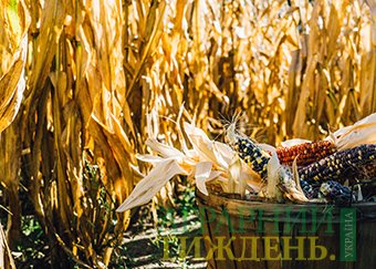 ФАО знизили прогнози виробництва зернових на тлі різкого скорочення перехідних запасів в сезоні 2018-2019 років