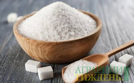 Попит та пропозиція цукру України