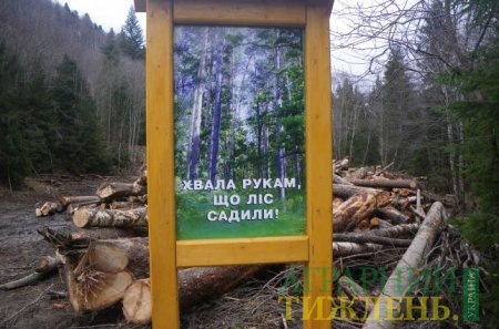 Тайни реформування "лісових відносин" в Україні 