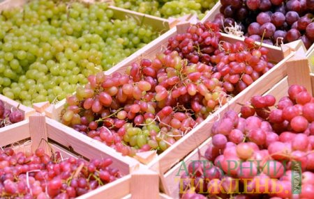 В Украине начался сезон винограда и цены высокие