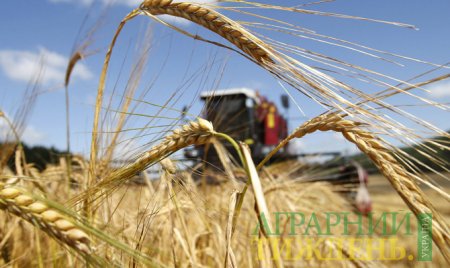Украина уже намолотила 19 млн тонн ранних зерновых и зернобобовых