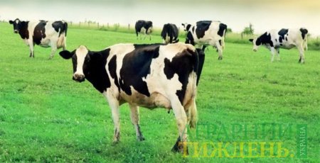 90% молочно-товарных ферм не получают дотаций