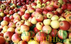 Промислові яблука критично дешеві, і далі ціна на них тільки падатиме