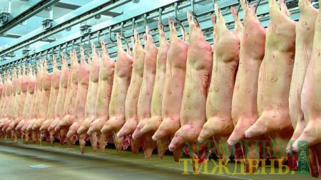 Пропозиція живця: за сім місяців «під ніж» пішло 2,6 млн свиней