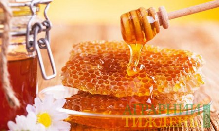Україна – лідер з експорту меду до ЄС