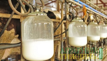 В Україні кількість якісного молока збільшується попри скорочення поголів’я корів