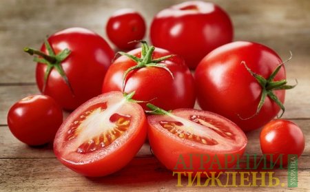 В Украине рекордно высокие цены на тепличный томат