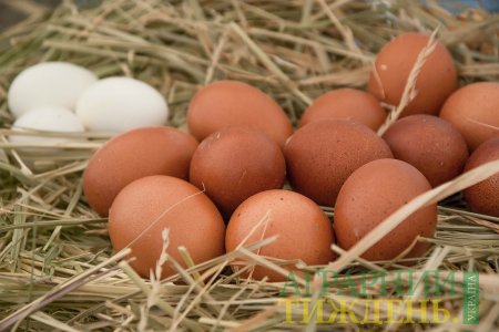 Україна збільшила експорт яєць на 30%
