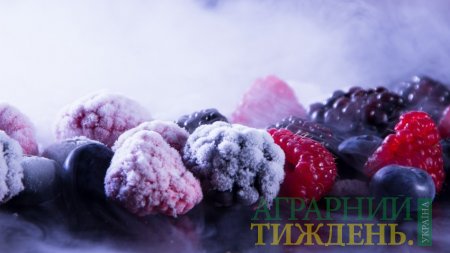 Шоковая заморозка способствует рекордному экспорту замороженных ягод из Украины
