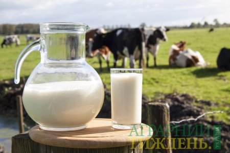 За семь месяцев в Украине выросла реализация молока на 2,2%