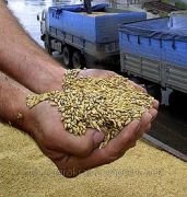 Аграрії просять владу України скасувати рішення щодо чергового підвищення цін на залізничні перевезення продукції АПК