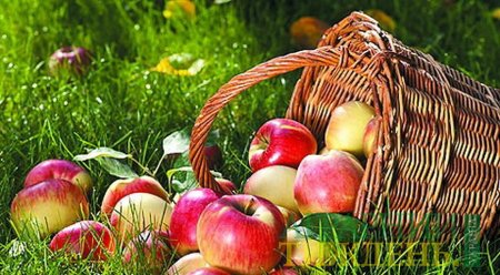 Низька ціна на яблука у Європі може погіршити ситуацію на українському ринку