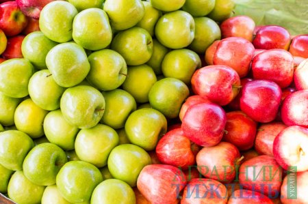 Рекордний врожай яблук в Україні вплинув на зниження цін на яблука