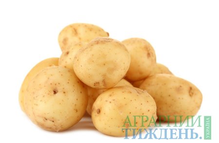 Що заважає експортувати українську картоплю до ЄС