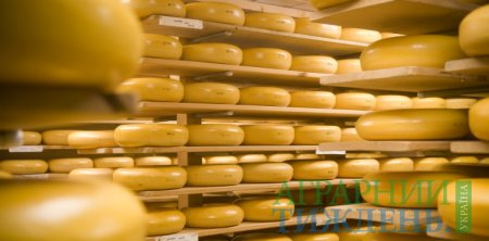 Україна скоротила експорт сирного продукту