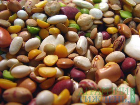 В Україні вже зібрано 50,3 млн тонн зернових та зернобобових