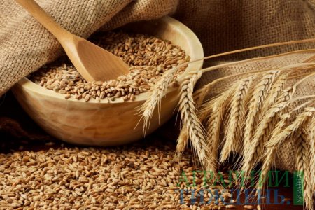 В ДПЗКУ заплановано виділити 1,3 млрд грн. на авансування сільгоспвиробників зерна