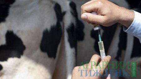 Ключова роль у запобіганні стійкості до антибіотиків належить фермерам