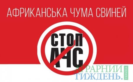 В Україні зафіксовані нові випадки АЧС у Закарпатській, Миколаївській та Донецькій областях 
