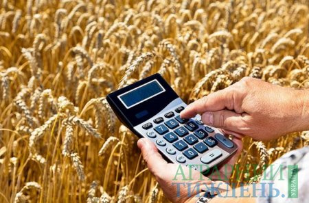 Кабмін порушив норму Бюджетного кодексу про виплату аграріям 1% аграрного ВВП