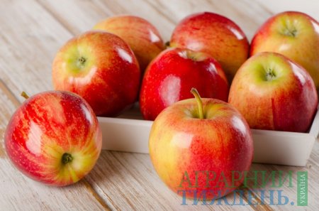 Підказки для українських виробників яблук від США щодо експортних ринків