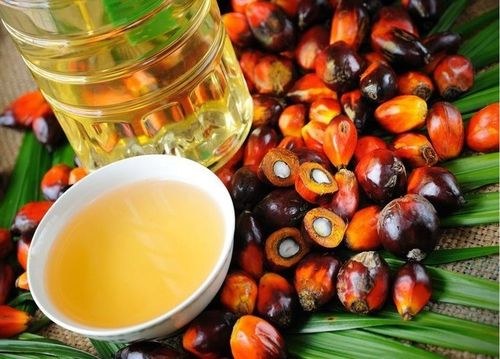 Украина установила новый рекорд по импорту пальмового масла