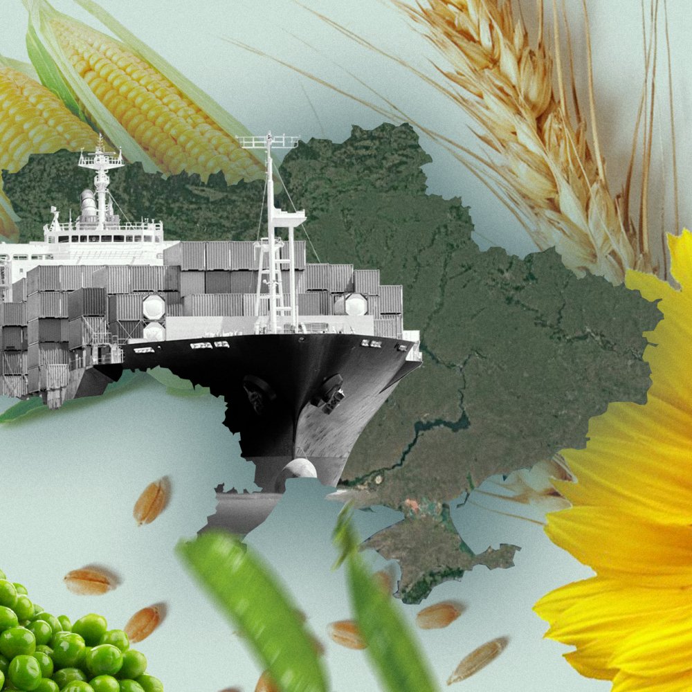 Уряд України затвердив перелік агропродукції, експорт якої буде ліцензуватися у 2024 році