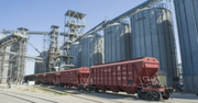 У грудні залізницею на експорт перевезено майже 2,3 млн тонн зернових