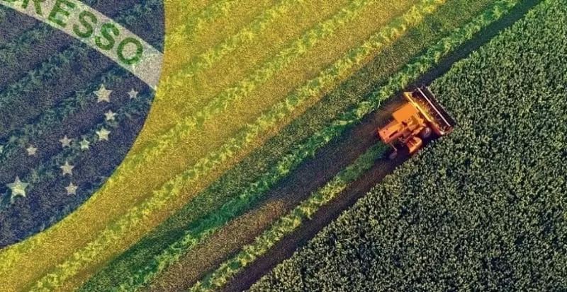 Conab знизив прогноз урожаю сої та кукурудзи у Бразилії