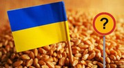 ЗМІ дізналися, які обмеження будуть для України у новій торговельній угоді з ЄС
