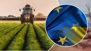 Стефанішина спростувала, що Україна відмовляється від аграрних субсидій ЄС