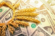 Законопроекти про повернення валюти агроекспортерами пройшли податковий комітет