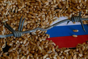 Імпорт зерна з росії до Литви припинено, але транзит зростає