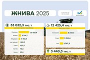 Жнива 2025: зібрано понад 55 млн т зернових та олійних культур