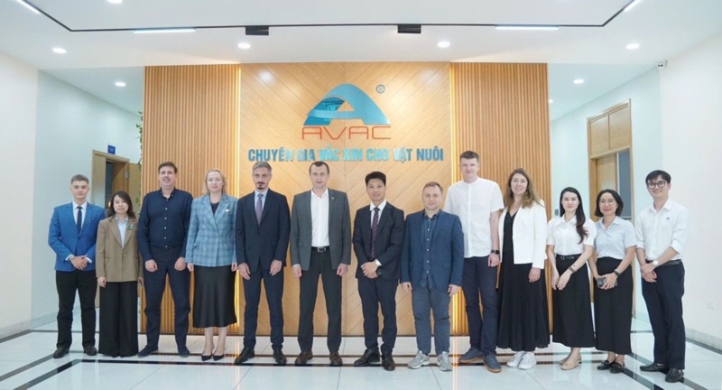 В’єтнам і AVAC: країна, яка перетворила кризу АЧС на індустрію