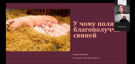 Трансформація свинарства: нові правила, виклики і «ферми майбутнього» — лекція Оксани Юрченко для студентів Що насправді стоїть за «благополуччям свиней»: пояснює перший модуль курсу У Львові стартують тренінги з антибіотиків: відповідь на нові вимоги рин