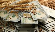 Пшениця нового врожаю додає у ціні: скільки коштує експорт