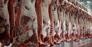 Меркосур готується до запуску нової квоти на експорт яловичини до ЄС