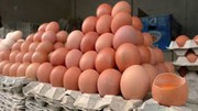 В Україні знизились ціни на яйця